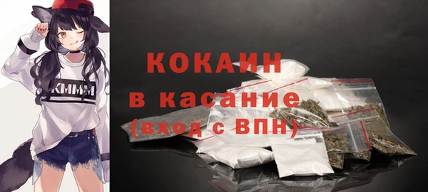 прущие грибы Нязепетровск