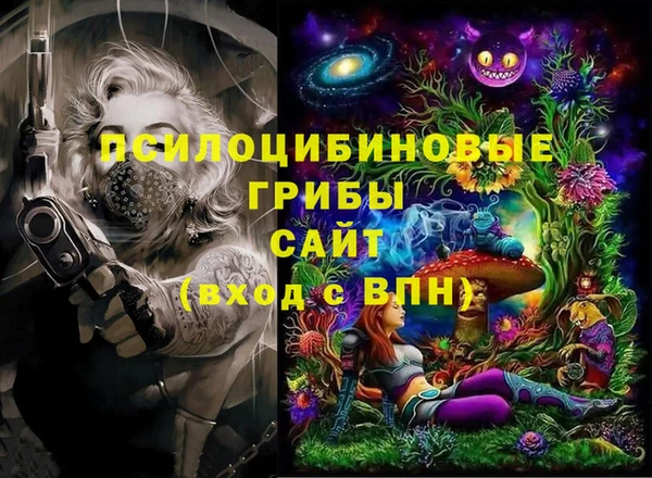 прущие грибы Нязепетровск