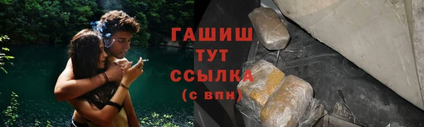 прущие грибы Нязепетровск