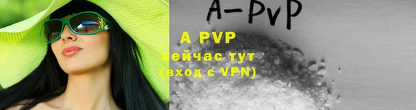 прущие грибы Нязепетровск