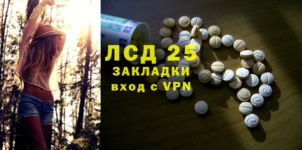 прущие грибы Нязепетровск