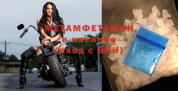 прущие грибы Нязепетровск
