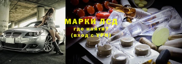 прущие грибы Нязепетровск