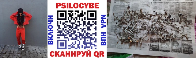Купить  Малмыж  Галлюциногенные грибы прущие грибы 